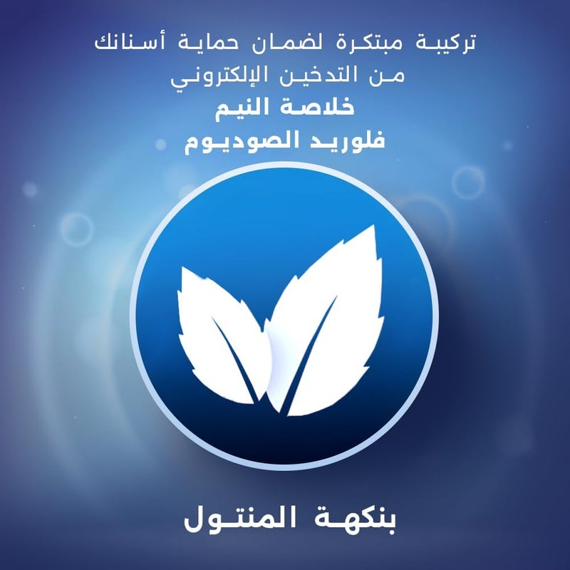 Eva Smokers E-Line Mouthwash with Menthol Flavor for E-Cigarette Users, 250ml - Image 3